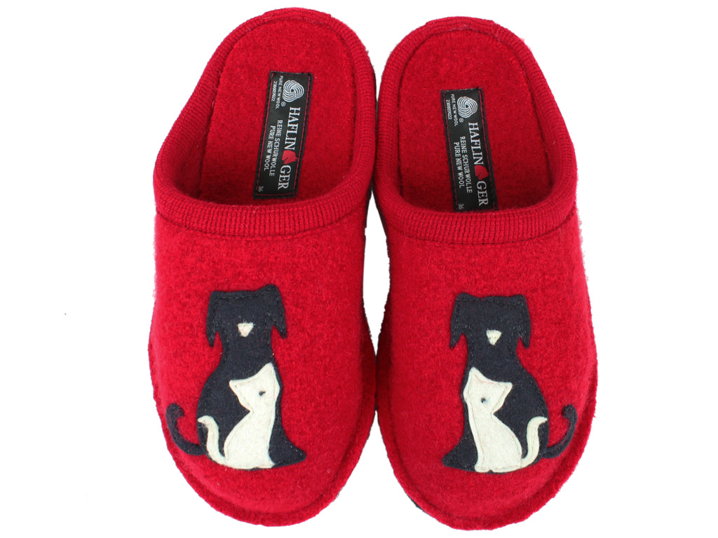 Haflinger dog online slippers